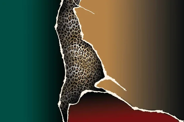 Padrão Leopardo Ilustração Vetorial — Fotografia de Stock