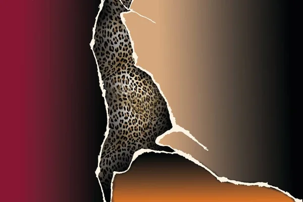 Leopard Print Pattern Giraffe — Stok fotoğraf