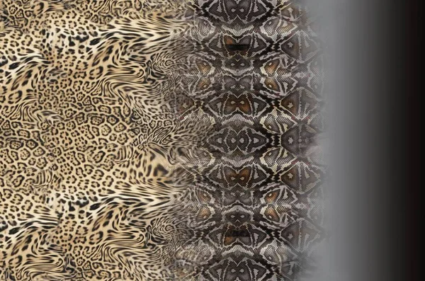 Fondo Abstracto Con Patrón Leopardo — Foto de Stock