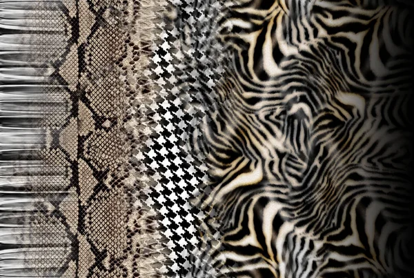 Zebra Skin Texture Animal Fur Pattern Stock Kép