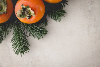 Sulu hurma ve fidan ağacı dalı Mutfak Masası Noel Kompozisyonu Üst Görünüm Boşluğu 