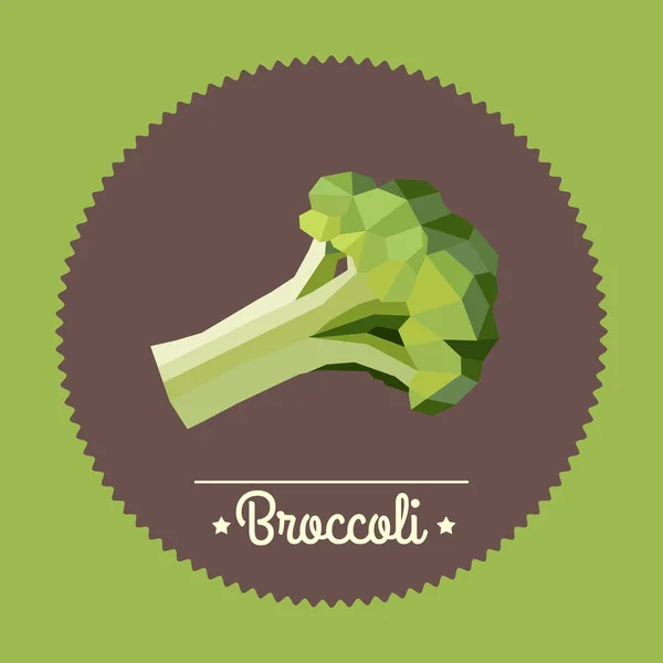 Vintage green broccoli illustration — Stock Vector