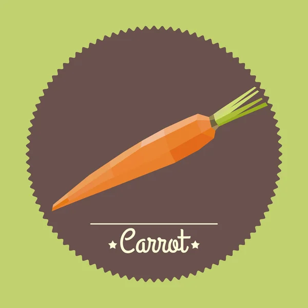 Amazing vintage orange carrot illustration — Stock Vector