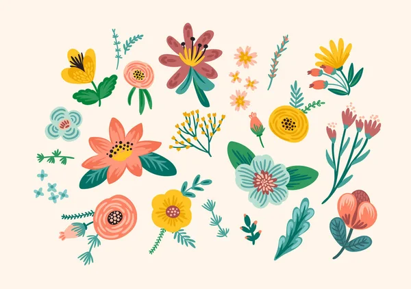 Conjunto de elementos de diseño floral. Ilustración vectorial. — Archivo Imágenes Vectoriales