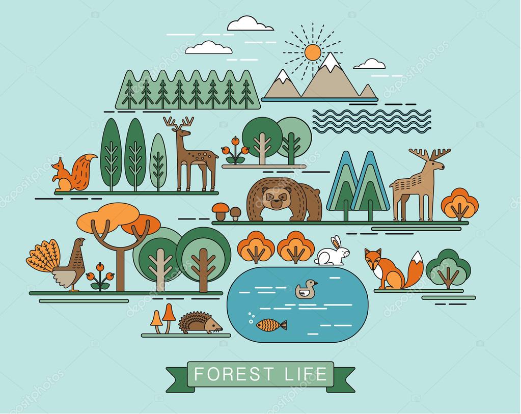 Vector illustration of forest life. Forest flora and fauna. Trendy graphic style.