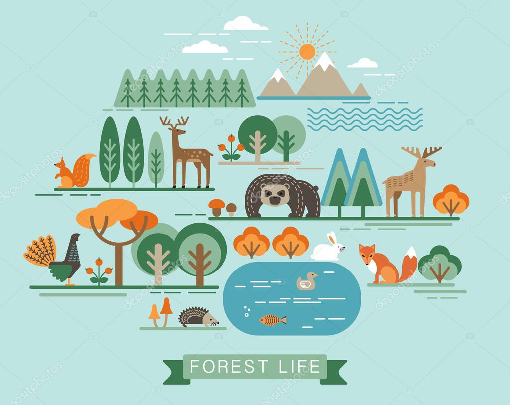 Vector illustration of forest life. Forest flora and fauna. Trendy graphic style.