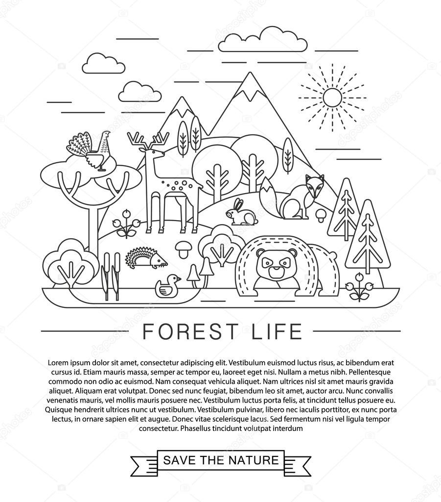 Vector illustration of forest life. Forest flora and fauna. Trendy graphic style.