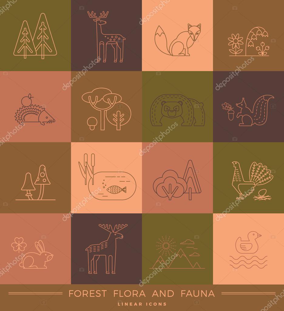 Vector linear icons of forest flora and fauna. Trendy design elements.