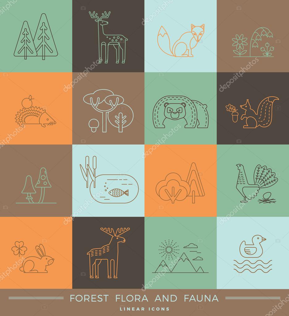 Vector linear icons of forest flora and fauna. Trendy design elements.