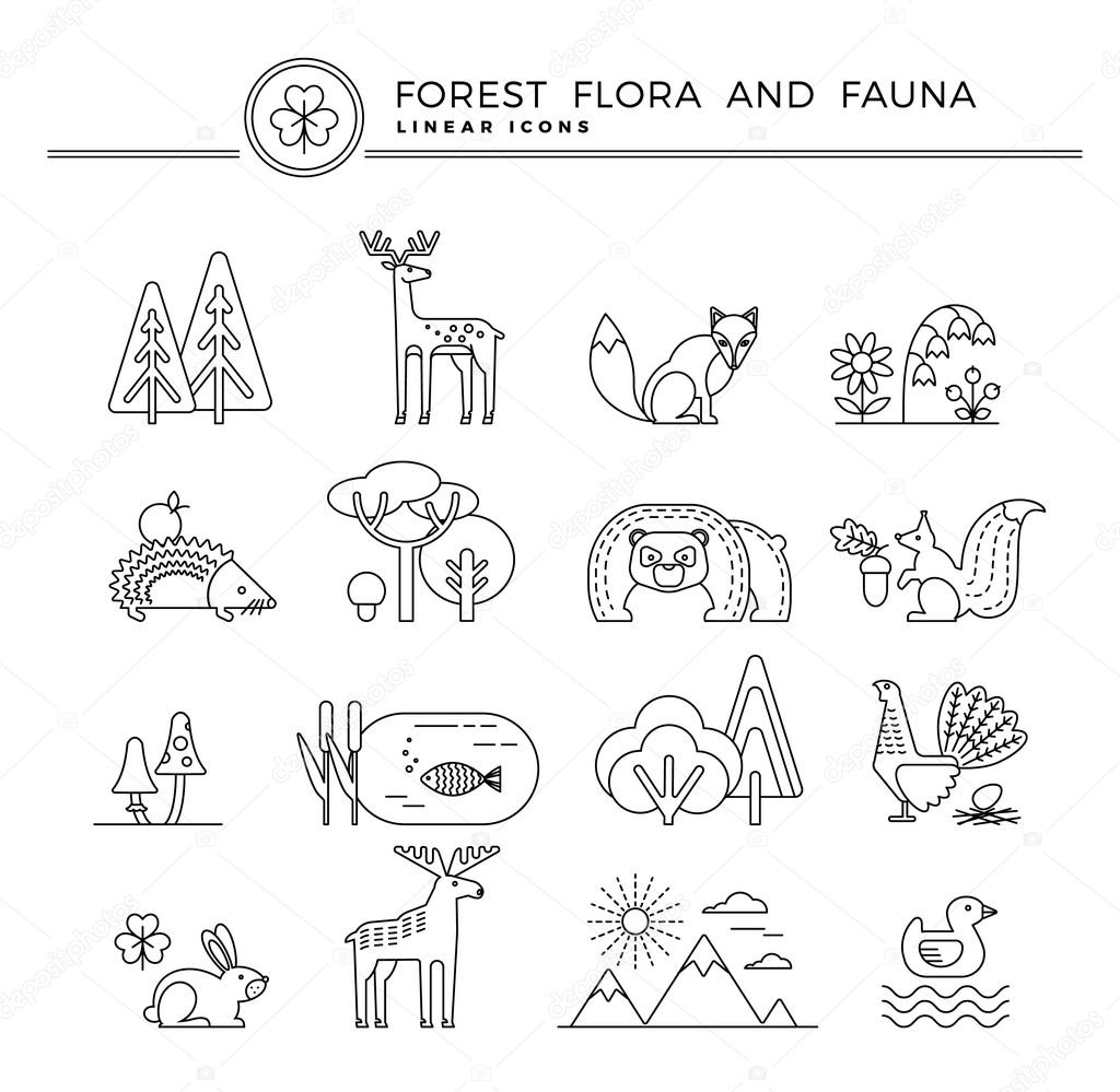 Vector linear icons of forest flora and fauna. Trendy design elements.