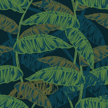 Tropikal yaprak, yoğun orman