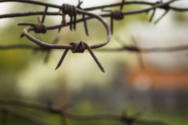 dikenli tel çit jilet mavi gökyüzü bulutlar