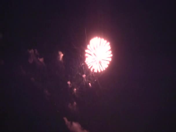 검은 하늘 배경에 화려 한 불꽃놀이가 펼쳐진다 — 비디오