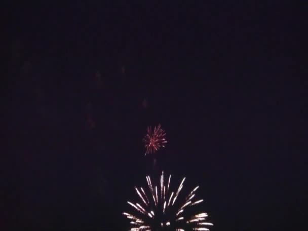 Fuegos artificiales de colores en el fondo del cielo negro — Vídeo de stock