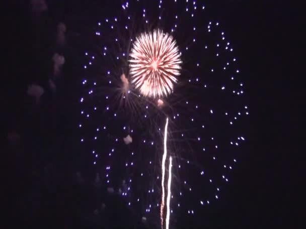 Fuegos artificiales de colores en el fondo del cielo negro — Vídeo de stock