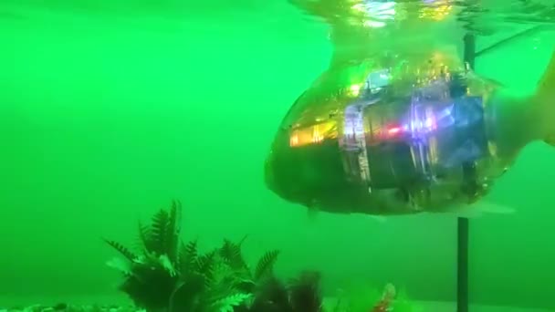 Robot ryby v akváriu — Stock video