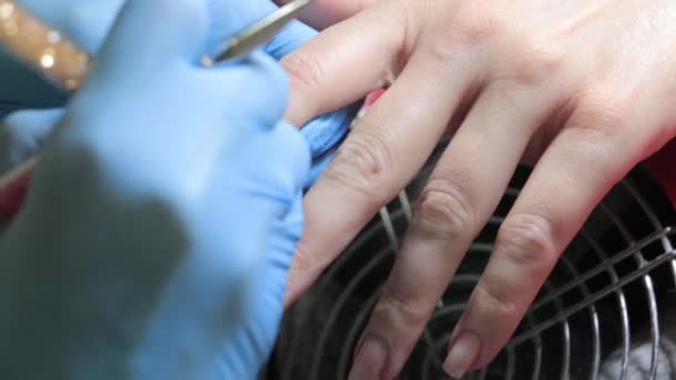 戴手套的主人的手在美容院里为客人做美容美发 — 图库视频影像