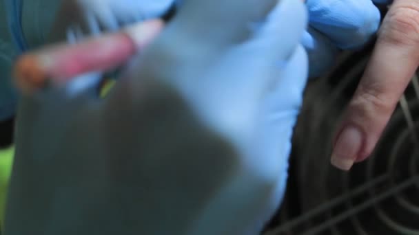 Ręce Mistrza Rękawiczkach Wykonują Klientowi Manicure Salonie Piękności — Wideo stockowe