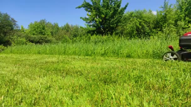 Cortar la hierba de un césped verde fresco con una cortadora de césped. 4k ultra HD — Vídeos de Stock