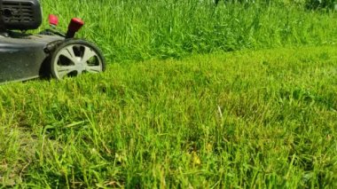 Çim biçme makinesiyle taze yeşil bir çimlerin çimlerini biçmek. 4k ultra HD