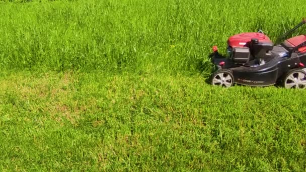 Cortar la hierba de un césped verde fresco con una cortadora de césped. 4k ultra HD — Vídeos de Stock