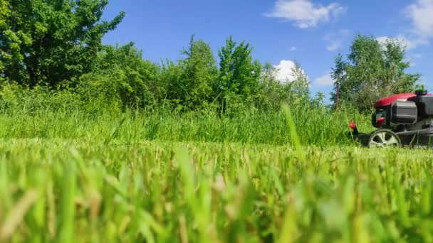 Cortar la hierba de un césped verde fresco con una cortadora de césped. 4k ultra HD — Vídeos de Stock