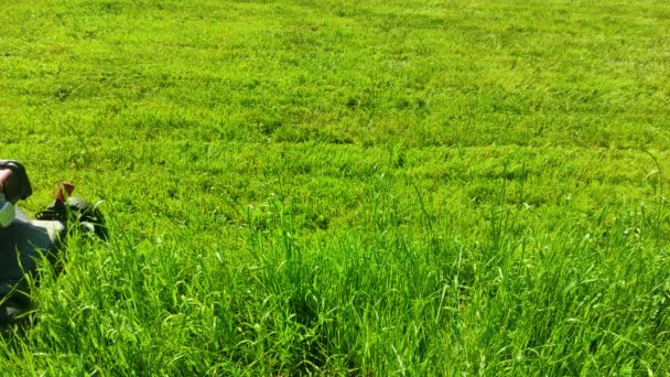Кошение травы свежей зеленой лужайки газонокосилкой. 4k ultra HD — стоковое видео
