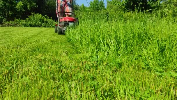 Cortar la hierba de un césped verde fresco con una cortadora de césped. 4k ultra HD — Vídeos de Stock
