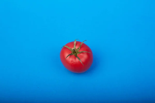 Mavi arka planda olgun bir domates. — Stok fotoğraf
