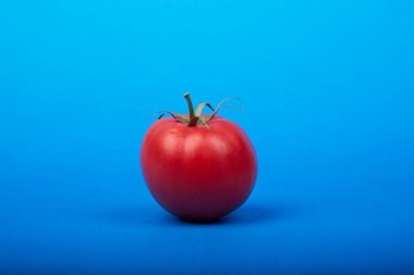 Mavi arka planda olgun bir domates.