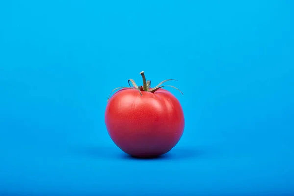 Tomate Rojo Maduro Sobre Fondo Azul — Foto de Stock