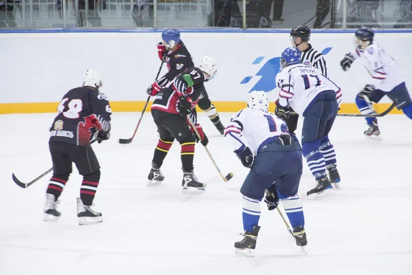 Hockey is a team game — Stock Photo, Image