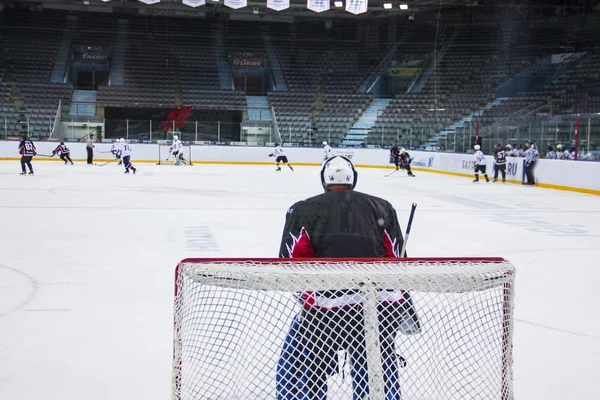 Hockey is a team game — Stock Photo, Image