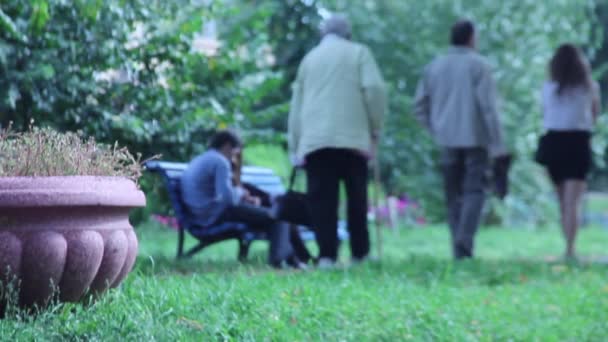 Oma spaziert im Sommer durch den Park — Stockvideo