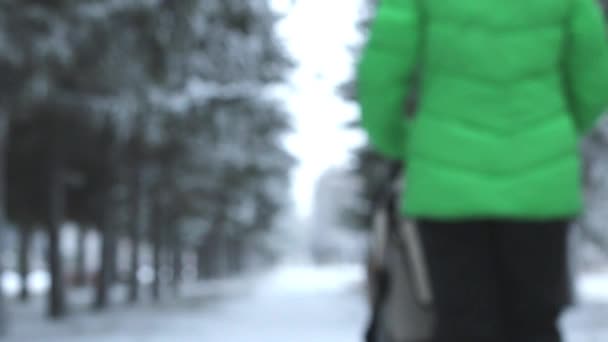 Een achteraanzicht van een moeder duwen van een Aanstotende Wandelwagen door diepe sneeuw in een parklandschap instellen tijdens het winterseizoen. — Stockvideo