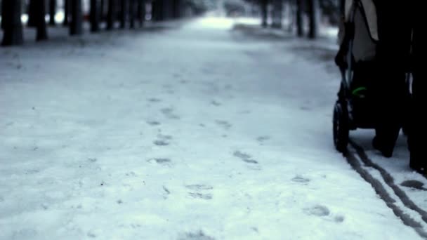 Een achteraanzicht van een moeder duwen van een Aanstotende Wandelwagen door diepe sneeuw in een parklandschap instellen tijdens het winterseizoen. — Stockvideo