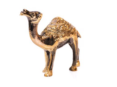 Beyaz zemin üzerine altın deve