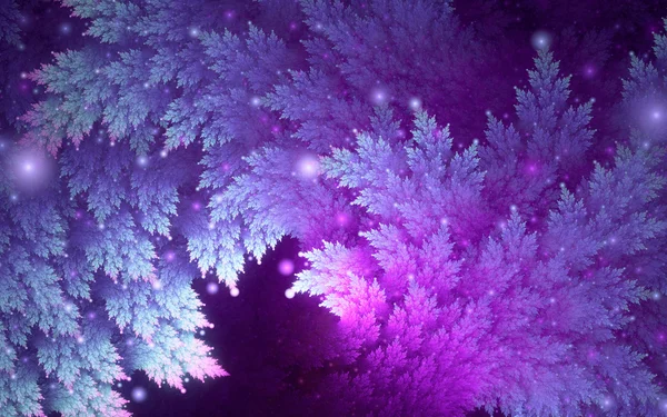 Blue-purple juniper branches — Stock Photo, Image