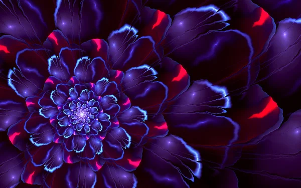 Glowing red-violet flower