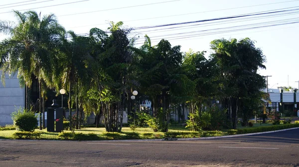 Facade Condominium Entrance Square Trees Plants Bust Man Brazil South — Stock Photo, Image