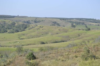 Önünde yeşil bitki örtüsü olan doğanın manzarası veya manzarası, arka planda asfalt yol ve dağlar ve panoramik manzaralı birçok yeşil ağaç ve plantasyonu olan binalar, Brezilya, Güney Amerika