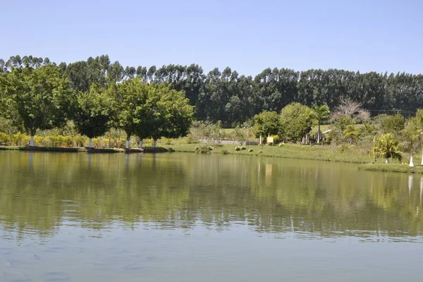 Lake Sladkovodní Jezero Farmě Ekoturistiky Panoramatickém Výhledu Stromy Pozadí Místo — Stock fotografie