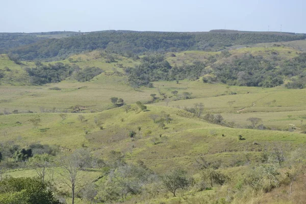 Doğanın manzarası ya da manzarası ön planda yeşil bitki örtüsü ve panoramik görünümünde birçok yeşil ağaç ve tarlaları olan dağlar.