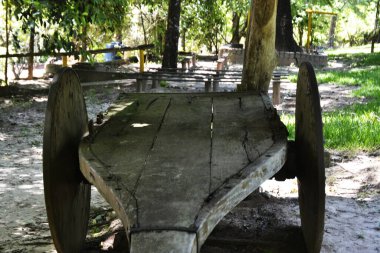 Tahta ve çelik tekerli ürünleri taşımak için kullanılan eski el arabası, hepsi ahşap çekirdekli, eski tarz, antika, arka plandaki bir ağacın gölgesinde sığ kamuflaj derinliği, kasıtlı olarak bulanık arka plan, Brezilya, Güney Amerika