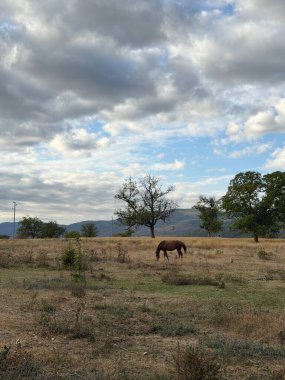 Exploring the area in the foothills of the Balkan mountains in Central Bulgaria - views from the autumn landscape in the region