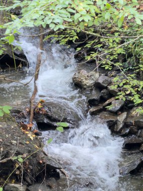 Exploring the area in the foothills of the Balkan mountains in Central Bulgaria - views from the autumn landscape in the region