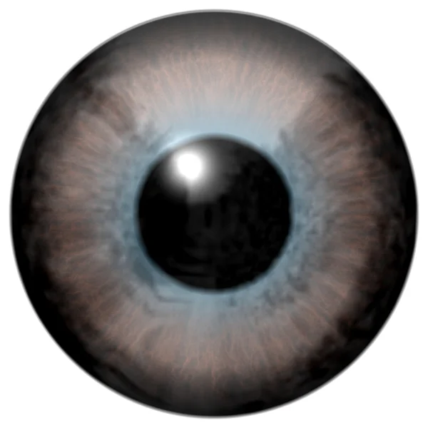 Dettaglio dell'occhio con iride di colore blu-marrone e pupilla nera — Foto Stock