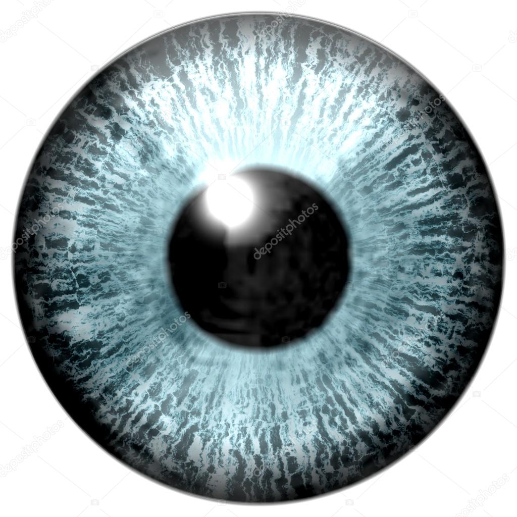 My Image 23