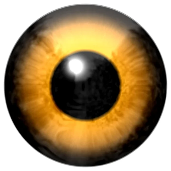 眼睛与橙色色的虹膜和黑色的瞳孔的细节 — 图库照片
