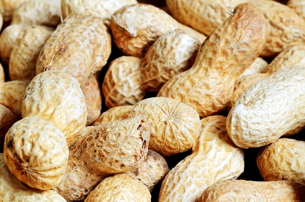 Close-up of dried peanuts — Stock Photo, Image